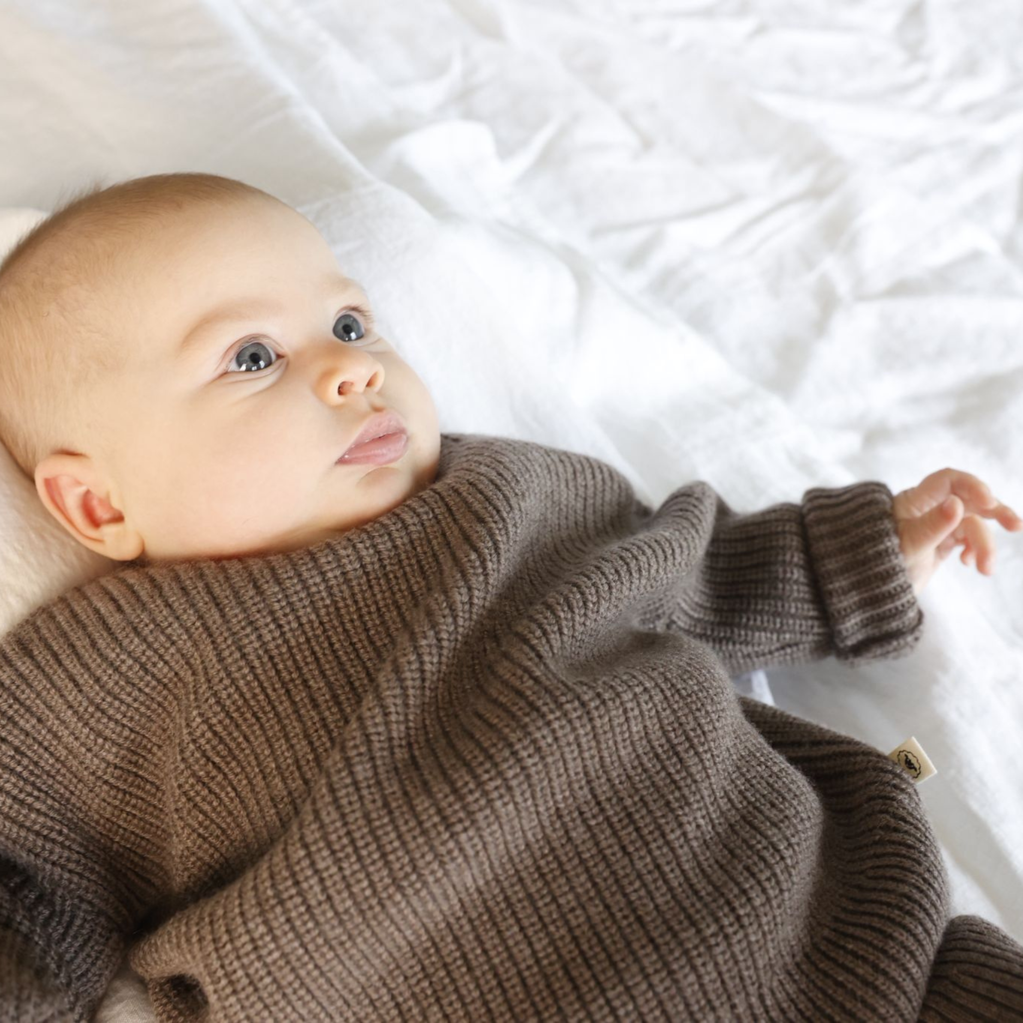 Sweater "Paul" in camel melange