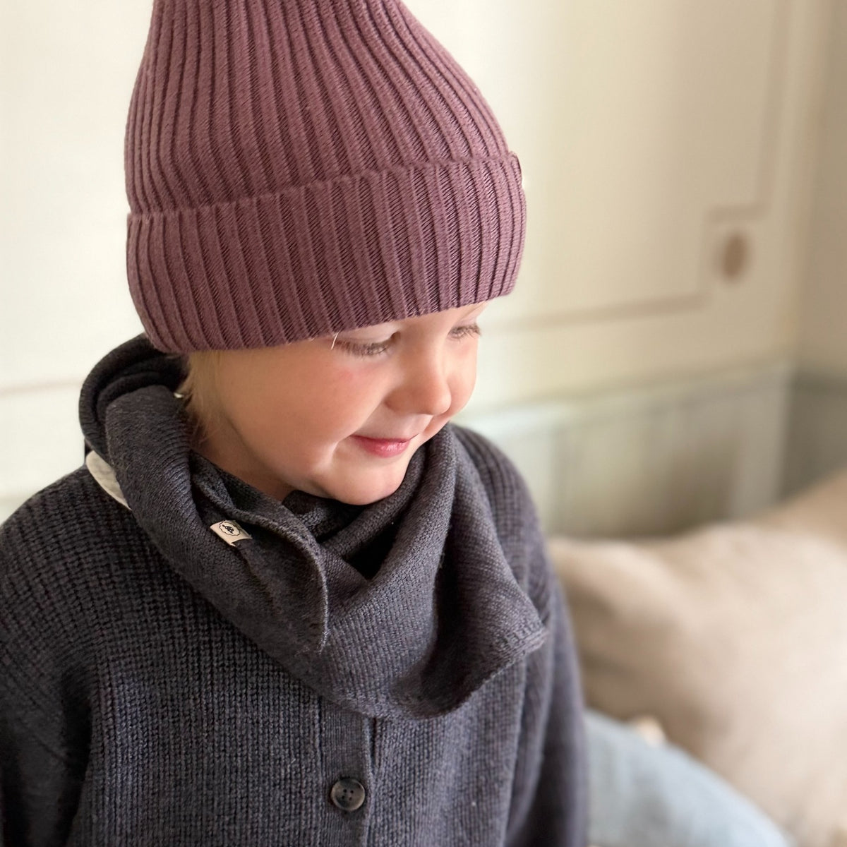 Cardigan Ferdi in anthrazit